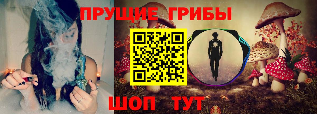 Псилоцибиновые грибы GOLDEN TEACHER Карачаевск
