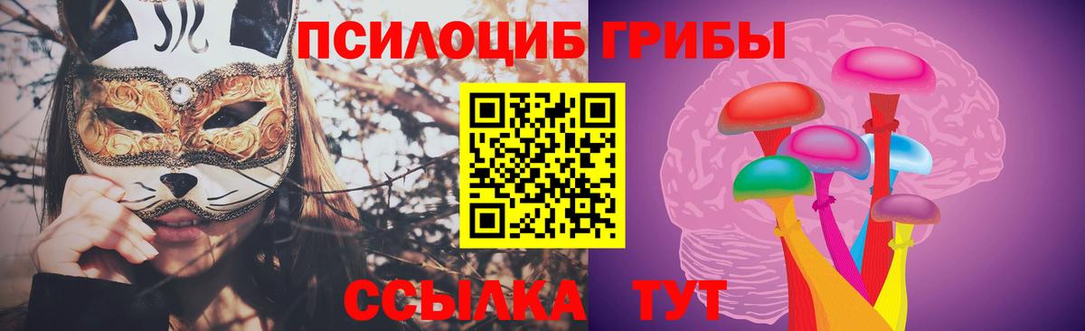 Карачаевск  Псилоцибиновые грибы Cubensis  Галлюциногенные грибы Psilocybe  Вход с VPN 